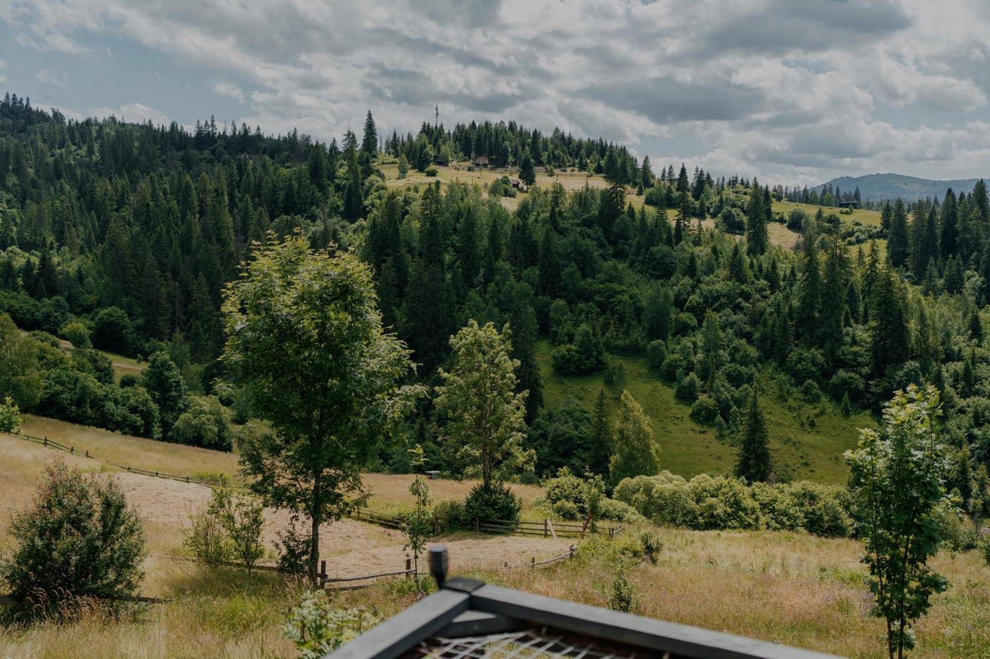 Карпатське Hygge Котедж Для Двох З Чаном-Джакузі У Горах Slawske Exterior foto